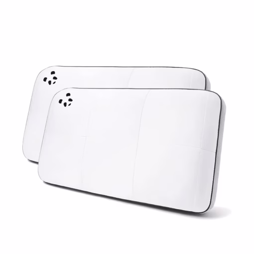 【雙枕頭優惠組】記憶枕Hybird-2件組